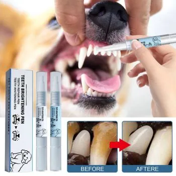 dog toothbrush