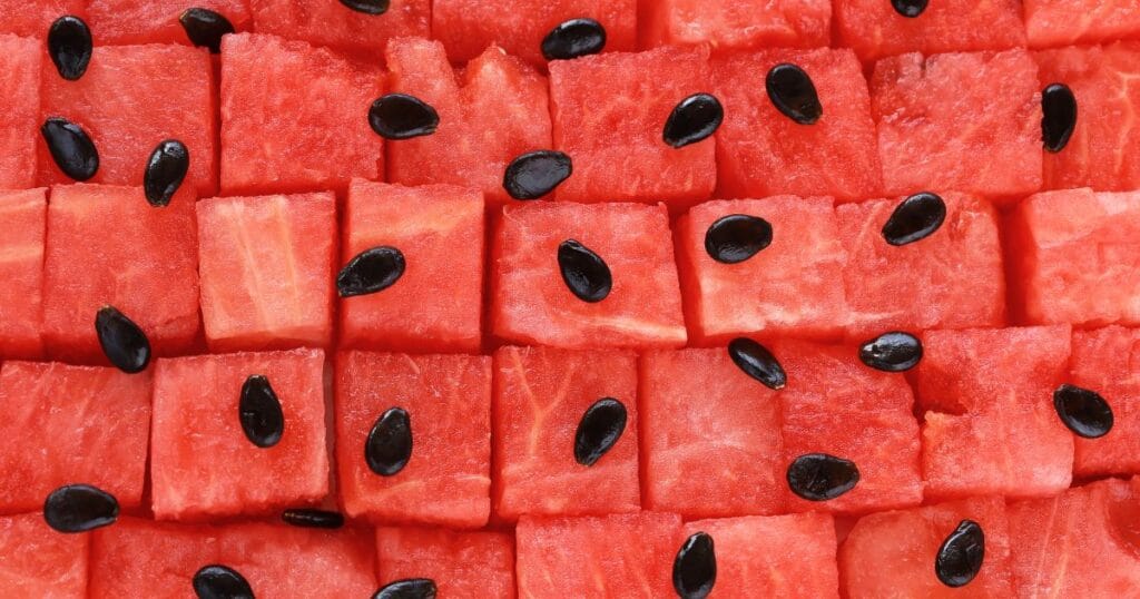 Can Dogs Eat Watermelon Seeds