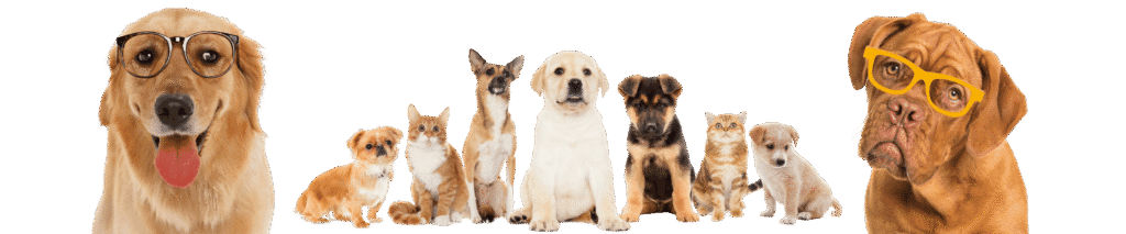 fur friends club