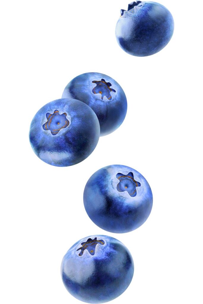 dogs and blueberries nutritional benefits