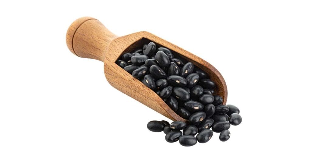 Are Black Beans Good for Dogs