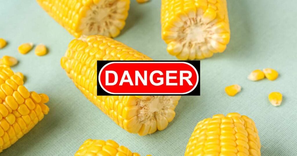 what happens if a dog eats a corn cob