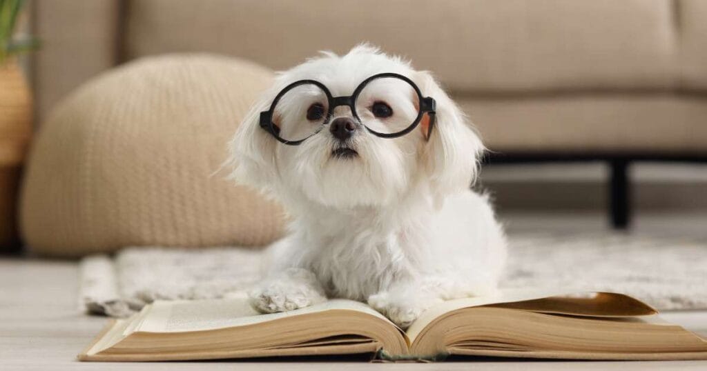 meaningful dog quotes
