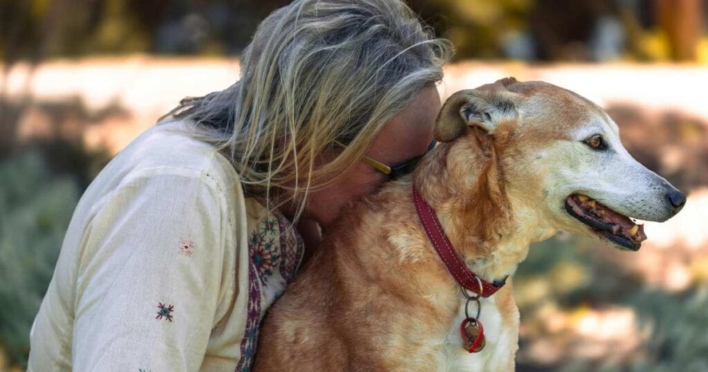 Heartwarming Dog Quotes