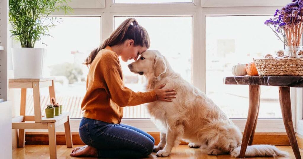 Dogs Can Understand Human Emotions