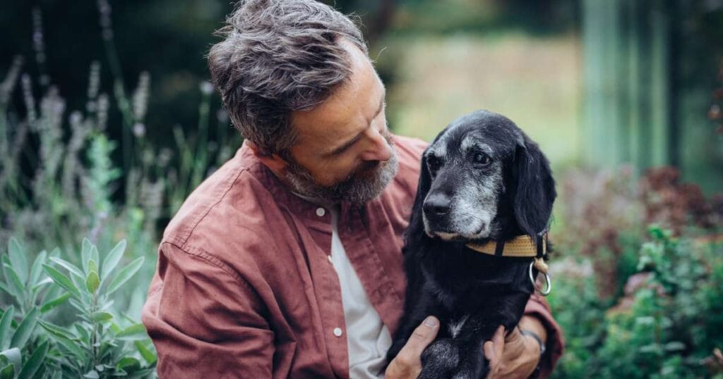 dog memorial quotes