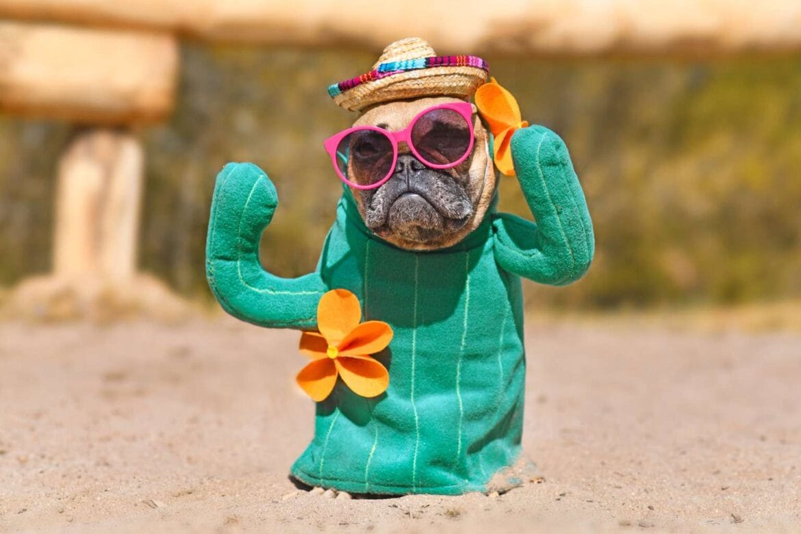 funny dog facts
