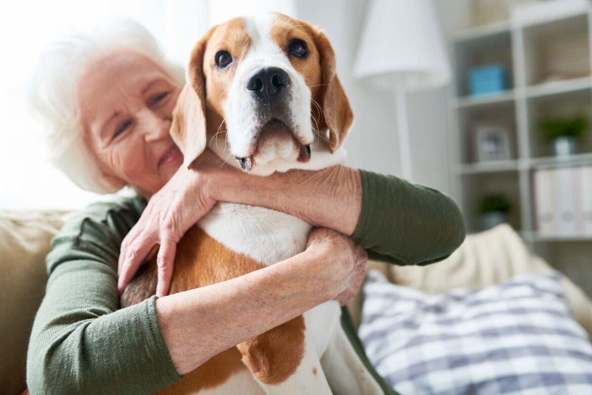 quotes about dogs